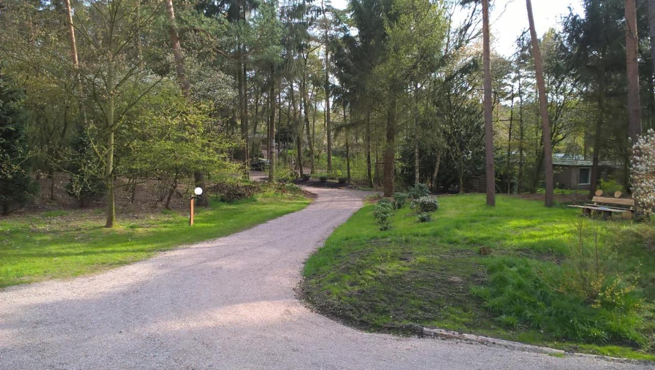Het Fazantenbosje Villa Dalfsen Esterno foto