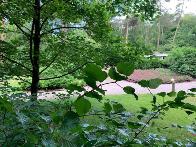 Het Fazantenbosje Villa Dalfsen Esterno foto