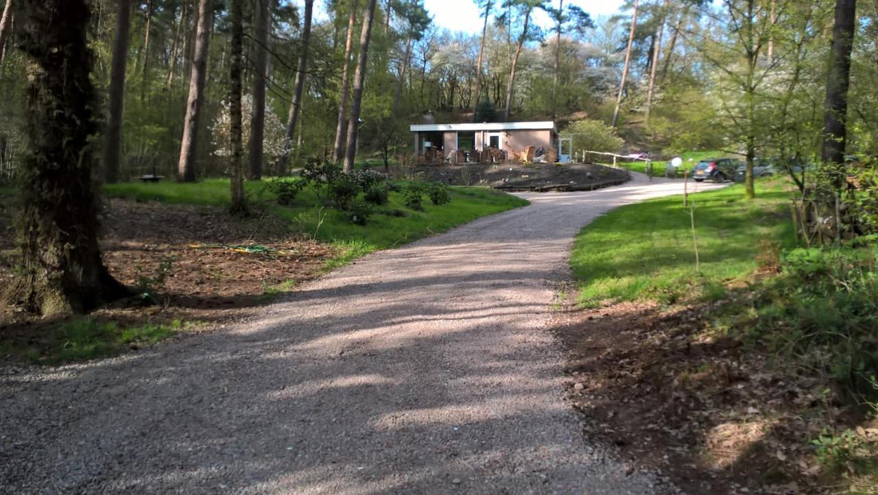 Het Fazantenbosje Villa Dalfsen Esterno foto