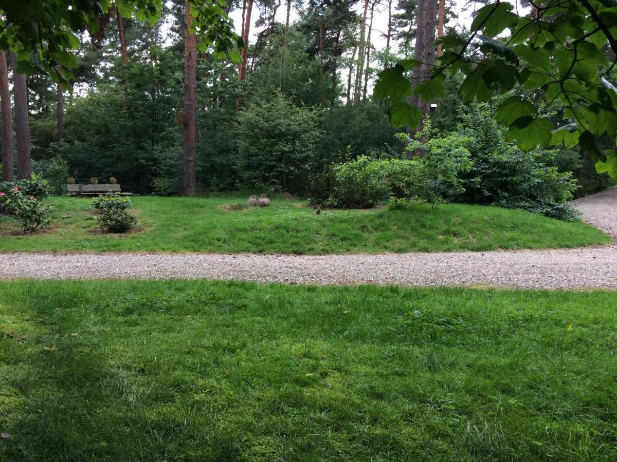 Het Fazantenbosje Villa Dalfsen Esterno foto